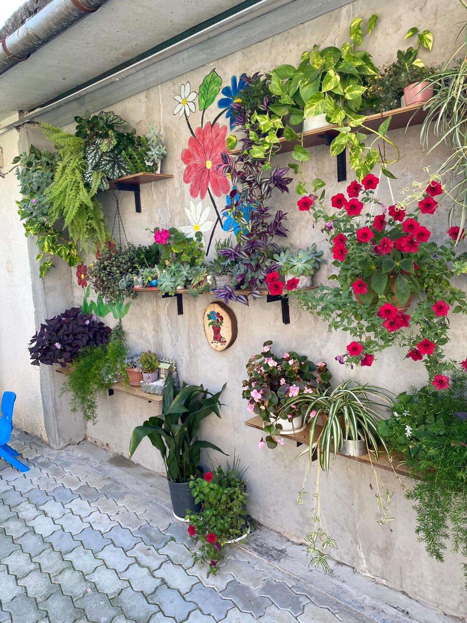 House Of Greenery Koutaïssi Extérieur photo